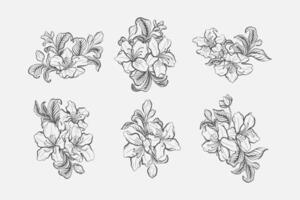 Set of Azalea Line Art Ornaments vector