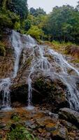 Serene Waterfall Cascading Over Rocks in Lush Green Forest photo