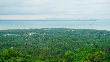 Panoramic View of Lush Greenery Overlooking the Ocean with Clear Horizon photo