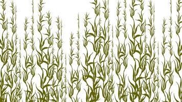 pattern with silhouettes of reeds. nature background vector