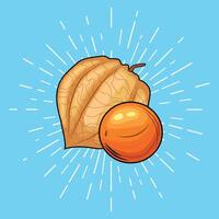 physalis with orange design and blue background vector