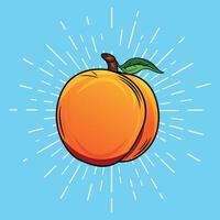 peach with orange color and blue background vector