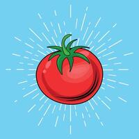 tomatos with red concept design vector