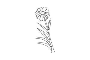 Single continuous line drawing of beauty fresh tagetes erecta for home decor wall art poster. Decorative marigold flower for floral card frame. Dynamic one line draw graphic design illustration vector