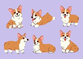 Set of cute corgi dogs in different poses. graphics vector