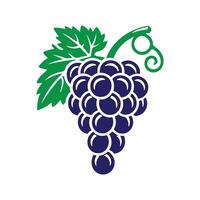 Purple grape isolated on white background. Grape icon vector