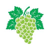 Grapes icon symbol. Grape isolated. vector