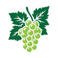 Grape icon symbol. Grape isolated. vector