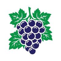 Purple grape isolated on white background. Grape icon symbol. Grape isolated. vector