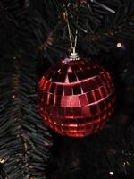 Red disco ball ornament hanging on christmas tree in prague photo