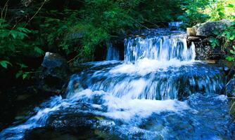 Crystal clear water flows down the cascades of a small river in the forest photo