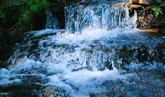 Pure mountain water foams in the streams of a small stepped waterfall photo