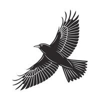 black silhouette of a parrot in mid-flight against a pure white background. vector