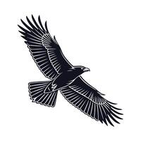 A striking silhouette of a bird in flight, depicted in bold, black lines against a pure white background. vector