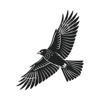 Striking Silhouette Bird in Flight vector