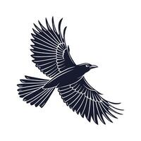 A bold, black and white graphic of a falcon in flight. vector