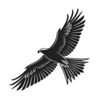 Falcon in Flight, a Striking Black and White Design vector