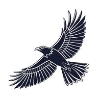 Eagle in Flight, Vintage Style Graphic vector