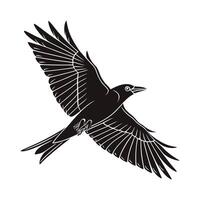 Powerful Raven in Flight, a Striking Vctor Graphic vector