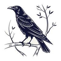Silhouette of a Bird in Flight logo vector