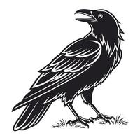 A strong, detailed silhouette of a raven, set against a plain white background. vector