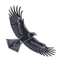 Powerful Eagle in Flight, Silhouette Design vector