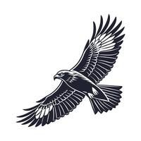 Powerful Black Bird Soaring Through the Air vector