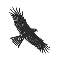 Powerful Bald Eagle in Flight, Black and White Graphic Design vector