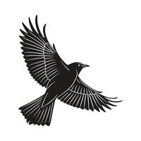 Silhouette of a Bird in Flight vector
