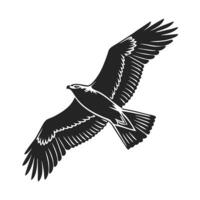 Elegant Silhouette of a Parrot in Flight vector