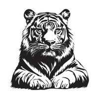 Tiger Lying Down Image. illustration of a tiger lying on the ground Wild animal. vector