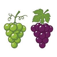 Grapes Set for Designers Dynamic Collection of Vibrant Grapes Elements vector
