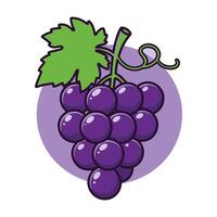 Fresh Grapes Set Juicy Green and Purple Designs for Versatile Projects vector