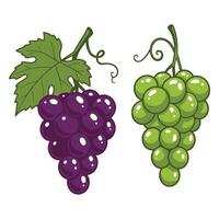 Stylish Grapes Set Ideal for Food-Themed Graphics and Creative Projects vector