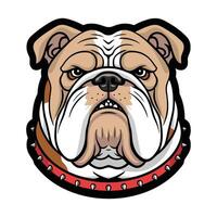 A bulldog dog head with a red collar vector