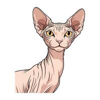 Cartoon Cat Head with Whimsical Expression vector