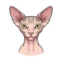 Stylized Cat Face for Creative Projects vector