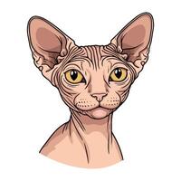 Cute Cat Face in Simple Cartoon Lines vector