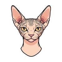 Charming Cat Face with Fun Lines vector
