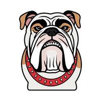 A bulldog head with a red collar vector