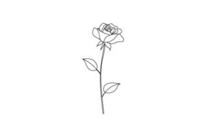 Rose flower one line art of flower minimalist isolated creative outline style vector