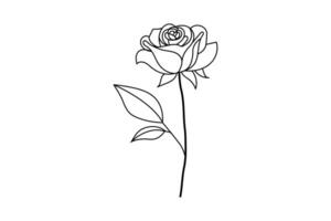 Rose flower one line art of flower Minimalist isolated outline design vector
