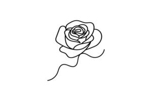 Minimal Line Drawing of a Rose Elegant Floral Sketch vector