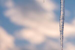 Icicle melting against a blurred sky backdrop A single drop falls photo