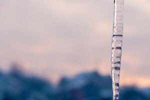 Close up of an icicle against a soft blurred sunset sky photo