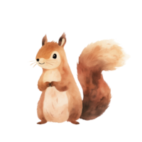 Watercolor forest animal isolated on transparent background, baby illustrations, crazy squirrel png