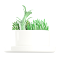 3D rendering of Succulent in a pot isolated on transparent canvas png