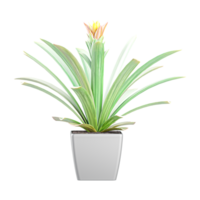 3D rendering of Screwpine tree in planter isolated on transparent canvas png