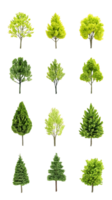A collection of various tree types in different shades of green, ideal for graphic resources. png