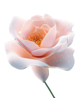A delicate pink rose with intricate petals and golden stamens, symbolizing beauty and nature. png